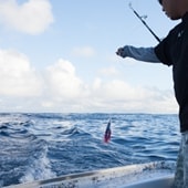 Fishing boat