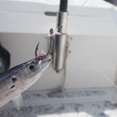 Fishing gear