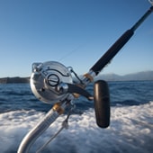 Fishing reel